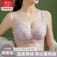 浪莎内衣女小胸聚拢显大收副乳防下垂调整型蕾丝文胸2025新款夏季