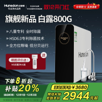 汉斯顿/Hunsdon净水器家用直饮自来水过滤厨房净化反渗透ro净水机800G大通量白露2L/min直饮出水
