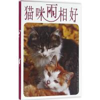 猫咪两相好(明信片)