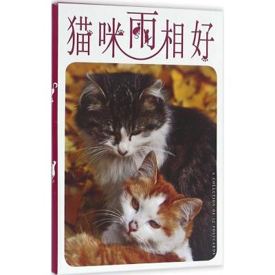 猫咪两相好(明信片)