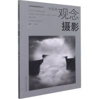 音像观念摄影 升级版林路