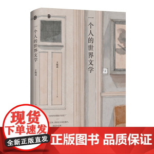 [正版] 一个人的世界文学 北贝 王海龙/著 外国文学 中国现代文学 艺术 博物馆 旅行 广西师范大学出版社