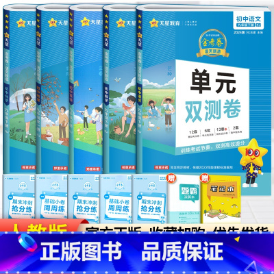 [人教版]九年级下册语数英物化(5本套装) 九年级/初中三年级 [正版]2024版金考卷九年级上册下册语文数学英语物理化
