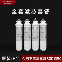 汉斯顿/Hunsdon净水器1513全套滤芯套餐