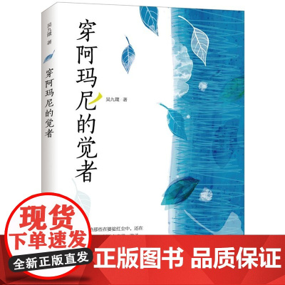 穿阿玛尼的觉者 吴九箴 华夏出版社 正版书籍