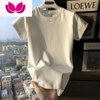 七斓基础款正肩长袖/短袖T恤女夏季修身显瘦紧身打底衫气质上衣秋