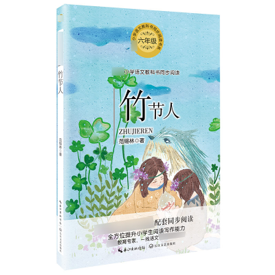 正版新书]竹节人范锡林 著9787570209149