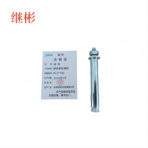 JIBIN/继彬 GB22795-表5 膨胀螺栓 碳钢 镀白锌 M12×100 1个