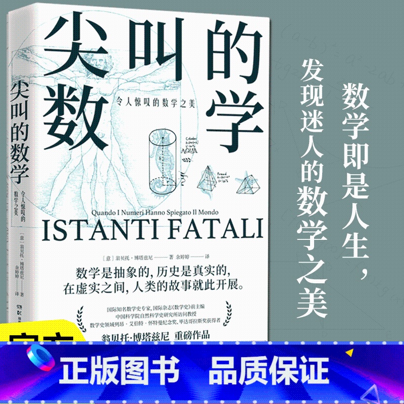 塑造数学脑 [正版]尖叫的数学 令人惊叹的数学之美 翁贝托·博塔兹尼 通俗的数学史读物 以讲故事的方式为读者展示了改变了