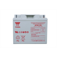 汤浅YUASA 铅酸蓄电池12V38Ah NP38-12H含配件 只