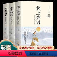 [正版] 枕上诗词 全3册 一诗一词念红尘一字一句品人生领略古诗词之美排解当下的忧愁与焦虑提升文化气质与内涵 诗词鉴赏