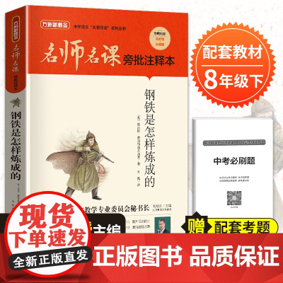 名师名课旁批注释本 钢铁是怎样炼成的