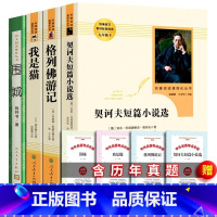 全4册 九年级下册选读书籍 [正版] 送考题册 我是猫 人民教育出版社 九年级下夏目漱石著 阅读书目外国日本经典小说统编