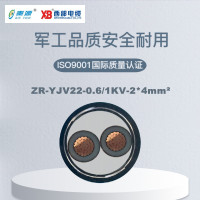秦源牌 ZR-YJV22-0.6/1KV-2*4mm² 阻燃铜芯低压钢带铠装绝缘电力电缆 元/米 定制商品 联系客服