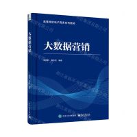 [N]大数据营销(高等学校电子商务系列教材)-9787121455964