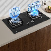 迅达MG1防干烧双旋流猛火灶液化气