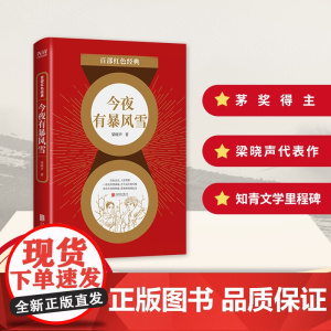 百部红色经典:今夜有暴风雪 (第十届茅盾文学奖、热映电视剧《人世间》原著作者梁晓声作品)