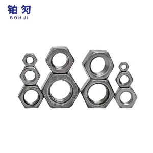 铂灳 六角螺母 M10mm 个