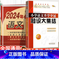 [语文]知识大集结+真题卷-2本套 小学通用 [正版]2024小升初知识大集结小学语文数学英语升学夺冠基础重点知识大全通