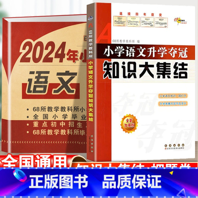 [语文]知识大集结+真题卷-2本套 小学通用 [正版]2024小升初知识大集结小学语文数学英语升学夺冠基础重点知识大全通