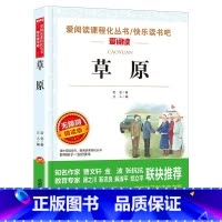 草原 [正版]猫老舍经典作品全集 小学生课外阅读书籍10-12-15岁四五六国一课外书必读老师儿童读物经典书目散文精选中