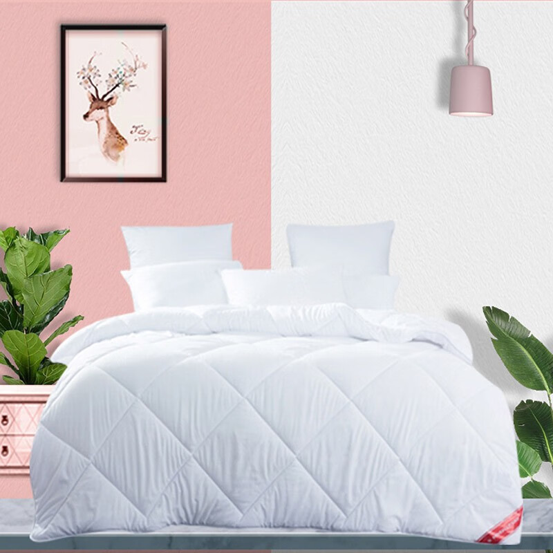 梦洁家纺 沁暖澳毛四季被(羊毛被)1000g 200*230cm