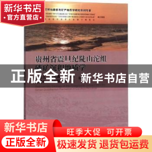 正版 贵州省震旦纪陡山沱组磷矿沉积地质学 杜远生[等]著 中国地