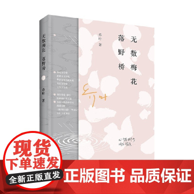 无数梅花落野桥 乔叶 著 文学