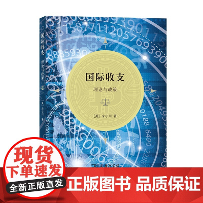 国际收支:理论与政策