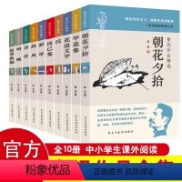 鲁迅作品精选(全十册) [正版]鲁迅作品精选全十册 朝花夕拾呐喊狂人日记华盖集坟花边文学野草 现当代文学散文随笔 经典全