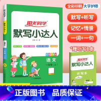 上册►默写达人(人教版) 小学四年级 [正版]阳光同学默写计算小达人一年级二年级三年级四五六年级上册下册数学语文训练人教