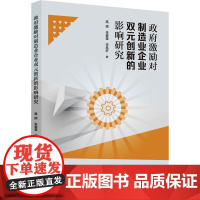 政府激励对制造业企业双元创新的影响研究 高硕,朱碧莹,宋凤轩 著 河北大学出版社 经济理论、法规 经济理论