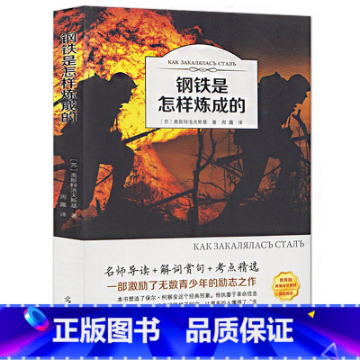 [正版]4本36元钢铁是怎样炼成的原著初中生 全本无删节 青少年初中生书籍课外书小说文学世界名著 钢铁是怎样炼成的全译
