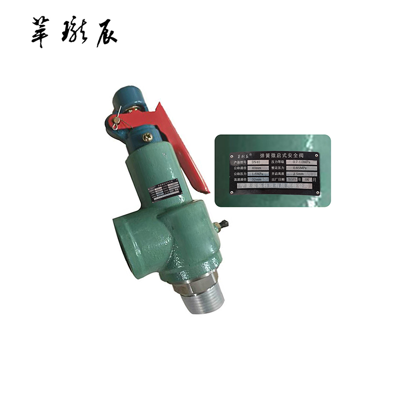 萃珑辰 弹簧微启式安全阀 DN40 个
