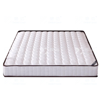 臻远 ZY-X124 床垫