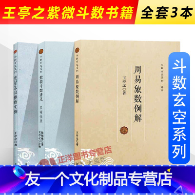 [友一个正版]!全3本 紫微斗数王亭之 周易象数例解+紫微斗数讲义星曜性质+安星法及推断实例 紫微斗数玄空系列