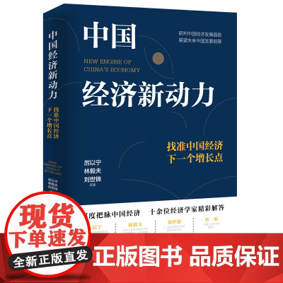 中国经济新动力:找准中国经济下一个增长点 厉以宁、林毅夫、刘世锦中*经济的内在逻辑经济管理金融业经济增长