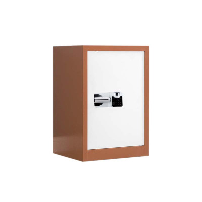 鑫升顺保密柜财务档案柜文件柜办公室资料储物柜保险柜电子密码国保锁单门咖白-国保指纹锁