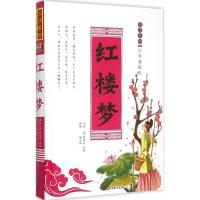 正版新书]白话美绘少年典藏版红楼梦魏玉梅 改编9787563732340