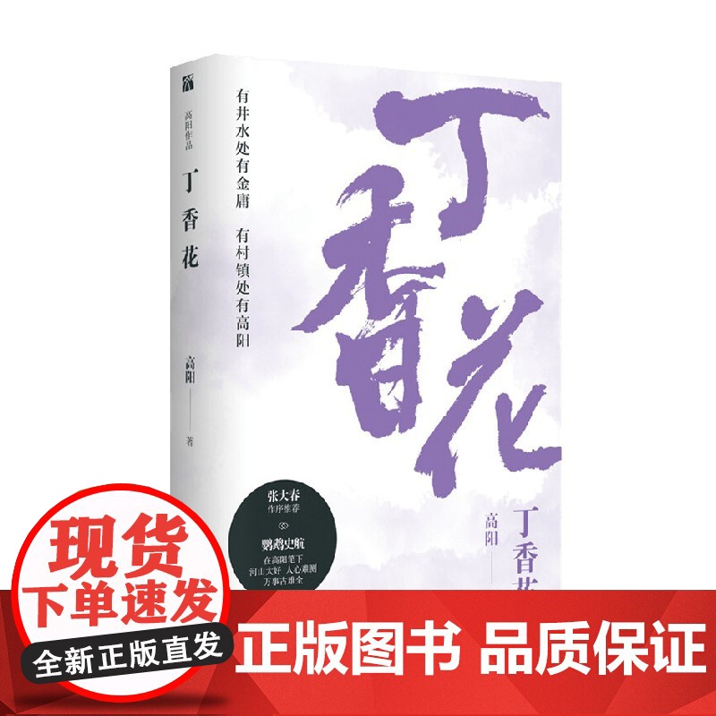 高阳 丁香花 高阳 著 小说