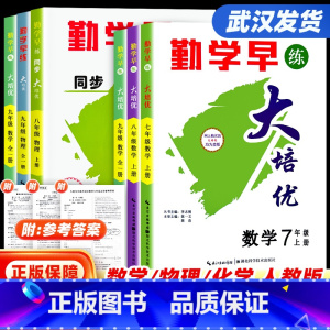 2023版[好好卷]物理 九年级下 [正版]武汉发货2024新版勤学早同步大培优名校压轴题好好卷课时导练 初中考语文数学