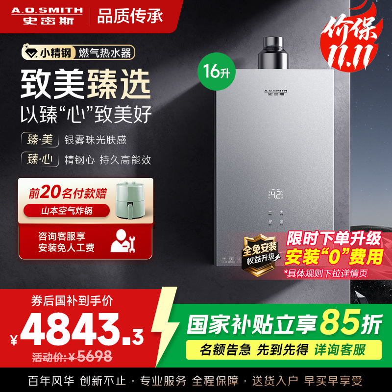 AO史密斯新品小体积16升精钢燃气热水器[小精钢EC5]静音 持久恒温 天然气 JSQ31-EC5