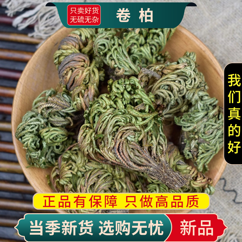 甄选卷柏100克柏岩柏草九死还魂草小叶石柏阳草一把抓9260