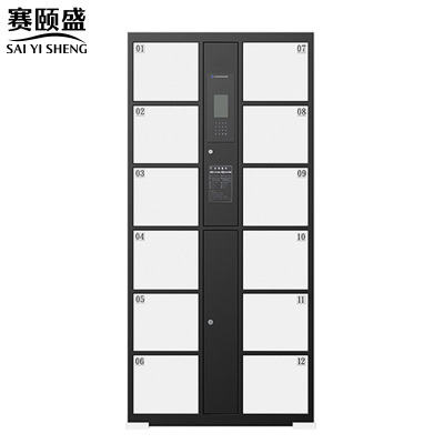 赛颐盛智能储物柜人脸识别12门台