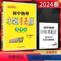 物理 九年级下 [正版]江苏版2024春恩波教育小题狂做巅峰版初中物理九年级下册 苏科版SK 初三9年级物理下苏教版同步