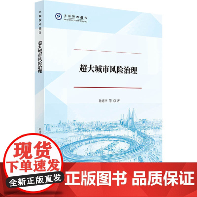 超大城市风险治理