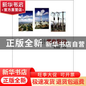 正版 设计煤电联动 林伯强主编 科学出版社 9787030396266 书籍