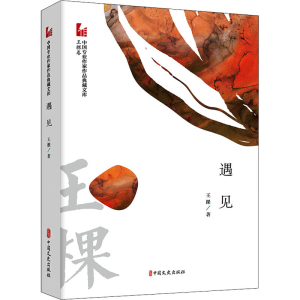 [M]遇见 王棵 著 -9787520525947