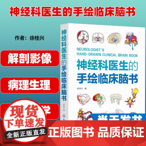 正版 平装 神经科医生的手绘临床脑书 徐桂兴 著 化学工业出版社 9787122433022