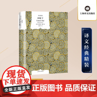 [正版]在轮下 精装版 黑塞自传色彩小说译文经典上海译文出版社 欧美外国德国文学长篇小说书 正版书籍